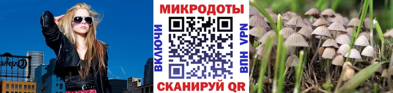 МЕГА ONION  Вяземский  Галлюциногенные грибы ЛСД 